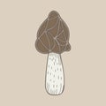 Illustration of mushroom vegetable isolated