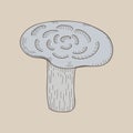 Illustration of mushroom vegetable isolated