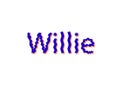 Illustration, name willie isolated in a white background