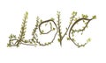 illustration of the name of the word love. Branches and leaves, primitive drawing. Word love on white background