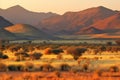 Namibian savanna at sunset, Namibia, Africa