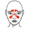 Illustration nasal cavity face, sinuses, woman
