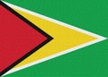 Illustration of the national flag of Guyana Royalty Free Stock Photo