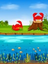 The natural view with the red crab on the grass and a big river infront of it