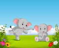 The natural view with two grey baby elephant playing together in the garden Royalty Free Stock Photo