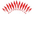illustration of neatly arranged red and white chicken feathers for headdress