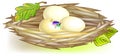 Illustration of nest with eggs. Royalty Free Stock Photo
