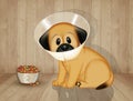 Illustration of neutered dog Royalty Free Stock Photo