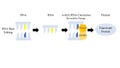 Illustration of the new CRISPR-Cas13 (clustered regularly interspaced short palindromic repeats)