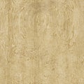 gnarled wooden background texture