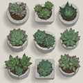 Illustration of nine small potted succulents in geometric containers. The pots are Royalty Free Stock Photo