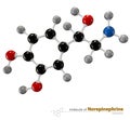 Illustration of Norepinephrine Molecule isolated white backgroun Royalty Free Stock Photo