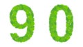 Illustration numbers 9 and 0, green spring-summer leaves.