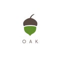 Illustration of oak tree acorn vector