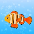 Illustration of Ocellaris clownfish Royalty Free Stock Photo