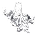 illustration of an octopus hugging tentacles of a ships anchor