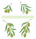 Illustration of olive branches and greek meandros ornament brush for design