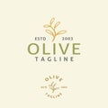 Illustration Olive Tree Logo Design