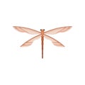 Flat vector icon of dragonfly with two pairs of transparent wings. Beautiful fragile creature. Small flying insect.
