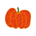 Illustration of orange pumpkin vegetable isotated on white background. illustration with textures. Royalty Free Stock Photo