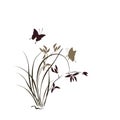 Illustration with orchid and butterfly.