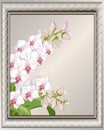 Illustration with an orchid in an elegant frame.