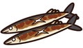 Illustration of outlined cooked saury fish