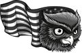 monochromatic illustration of owl with american flag