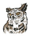 Illustration of an owl. Owl vector graphic.