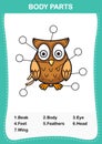 Illustration of owl vocabulary part of body