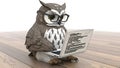 Owl Programmer, Coding on Laptop. Artificial Intelligence Concept. Royalty Free Stock Photo