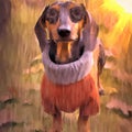 Soft colored illustration painted style from a very cute Dachshund saucage dog wearing a turtleneck sweater during golden hour