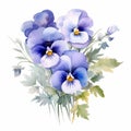Delicate Watercolor Pansy Bouquet Clipart On White Background Royalty Free Stock Photo