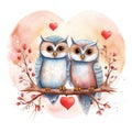 Illustration of a pair of owls in love on a white background Royalty Free Stock Photo