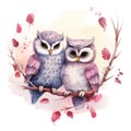 Illustration of a pair of owls in love on a white background Royalty Free Stock Photo