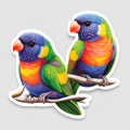 Illustration of a pair of rainbow lorikeets on a white background Royalty Free Stock Photo