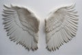 Illustration of a pair of white angel wings for mockup