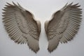 Illustration of a pair of white angel wings for mockup