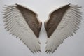 Illustration of a pair of white angel wings for mockup