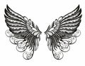 Illustration of a pair of wings, Drawing, angel wings Royalty Free Stock Photo