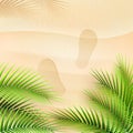 Palm tree leaves on summer background