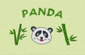 Illustration of a panda with green background and green bamboo with textured - illustration