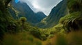 Panorama of a beautiful valley in the rainforest of New Zealand Royalty Free Stock Photo