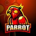 Parrot mascot esport logo design