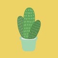 Illustration of pastel green cactus on yellow background Royalty Free Stock Photo