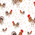 Illustration, pattern depicting colored rooster on a white background. Vector
