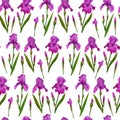 Pattern flowers irises watercolor digital paper decoration design botanical illustration textile invitations greeting card