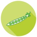 Illustration of a pea pod with peas inside, set on a light green circle with a shadow Royalty Free Stock Photo