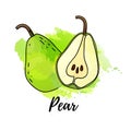 Illustration of pear fruit. Vector watercolor splash background. Graphics for cocktails, fresh juice design. Natural Royalty Free Stock Photo