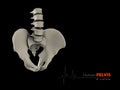 illustration of pelvis abstract scientific background Royalty Free Stock Photo